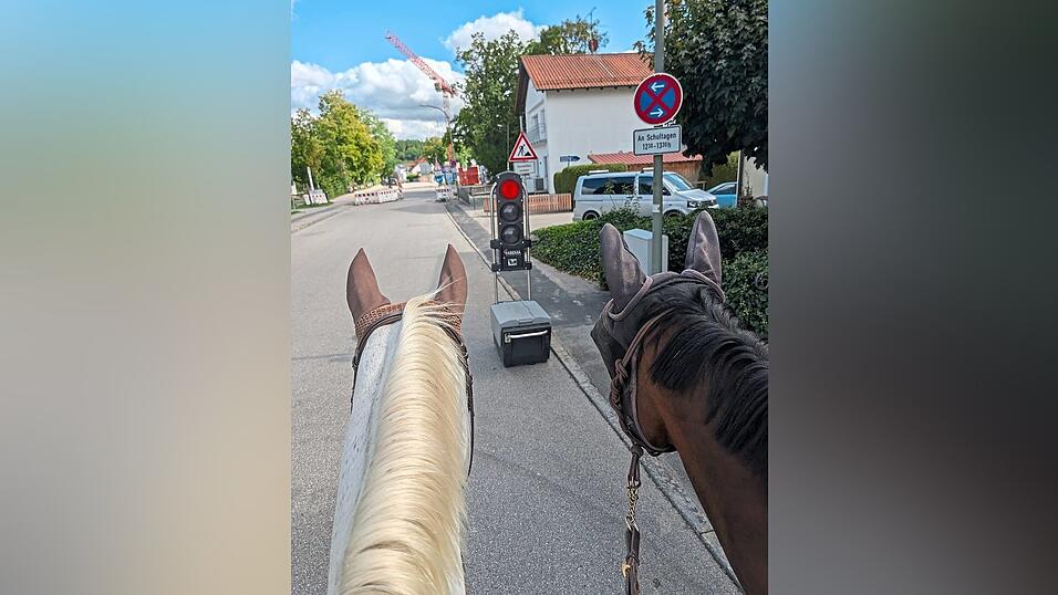 Nicht nur im Wald sind Reiter mit ihren Pferden unterwegs. Auch auf den Straßen (wie hier kurz vor dem Vilsbiburger Gymnasium) sind die Vierbeiner zu sehen. Andere Verkehrsteilnehmer sollten in solchen Situationen das Tempo drosseln und ausreichend Abstand halten. Nicht nur im Wald sind Reiter mit ihren Pferden unterwegs. Auch auf den Straßen (wie hier kurz vor dem Vilsbiburger Gymnasium) sind die Vierbeiner zu sehen. Andere Verkehrsteilnehmer sollten in solchen Situationen das Tempo drosseln und ausreichend Abstand halten.