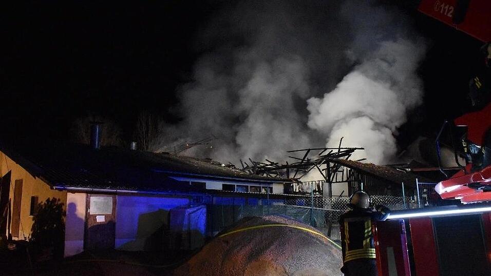Bei einem Brand auf einem Bauernhof im Landkreis Deggendorf kamen mehrere Rinder ums Leben.