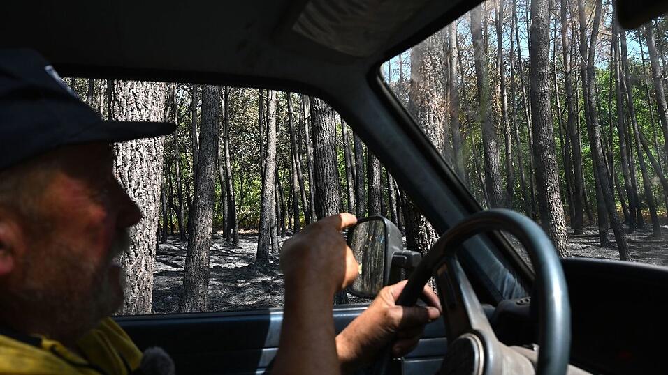 Ein Großteil seines Landes ist verbrannt, erzählt Waldbauer Monchaux. Ein Großteil seines Landes ist verbrannt, erzählt Waldbauer Monchaux.