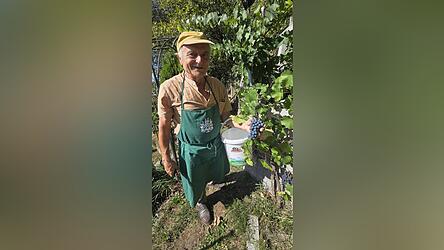 1984 hat sich Vitus Lechner seinen Traum vom eigenen Weinberg erf&uuml;llt.