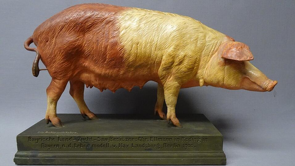 Das Schwein ist ein wichtiges Nutztier, fr&uuml;her wie heute: Halbrote Landsau, Modell aus der Landwirtschaftsschule Straubing, 1900, heute im Kreismuseum Bogenberg