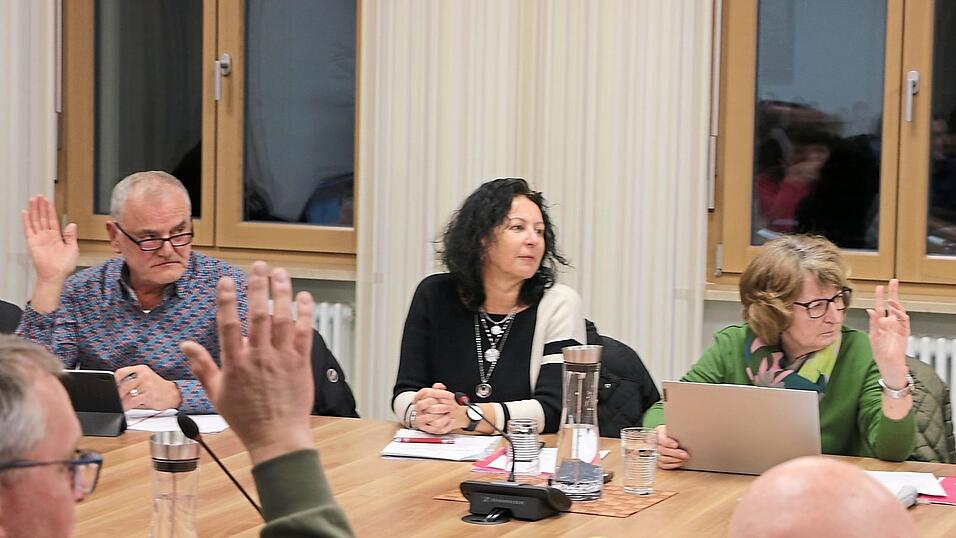 Das Bild zeigt die Abstimmung beim Wechsel von Petra Reisinger (2. v. l.) vom B&uuml;rgerforum ROL zur CWSU. Nun wechselt Mathilde Haindl (r.) ihrerseits von der CWSU zum B&uuml;rgerforum ROL.