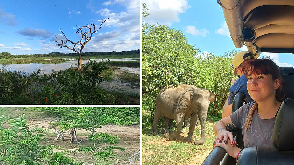 Kati auf Safari in Sri Lanka: Zwar war die Weltreisende alles andere als alleine unterwegs, bekam aber beeindruckende Tiere wie Elefanten und Leoparden zu sehen.
