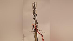 Laut Angaben von Telef&oacute;nica Deutschland war bzw. ist eine nicht korrekt funktionierende Basisstation verantwortlich f&uuml;r die Probleme.