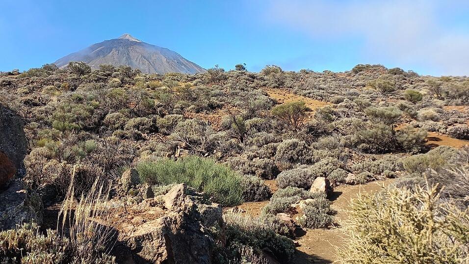 Wanderungen durch die Natur, steile Straßen durch kleine Städte und wunderschöne Strände: Katis Eindrücke aus Teneriffa.