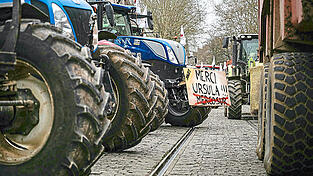 In Frankreich gab es immer wieder Demonstrationen von Landwirten gegen das Abkommen. Auch für diesen Donnerstag sind bereits Proteste in Brüssel angekündigt.