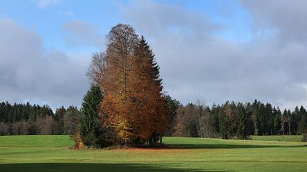Der Herbst bringt für die Menschen in Bayern die nächsten Tage milde Temperaturen. (Archivbild)