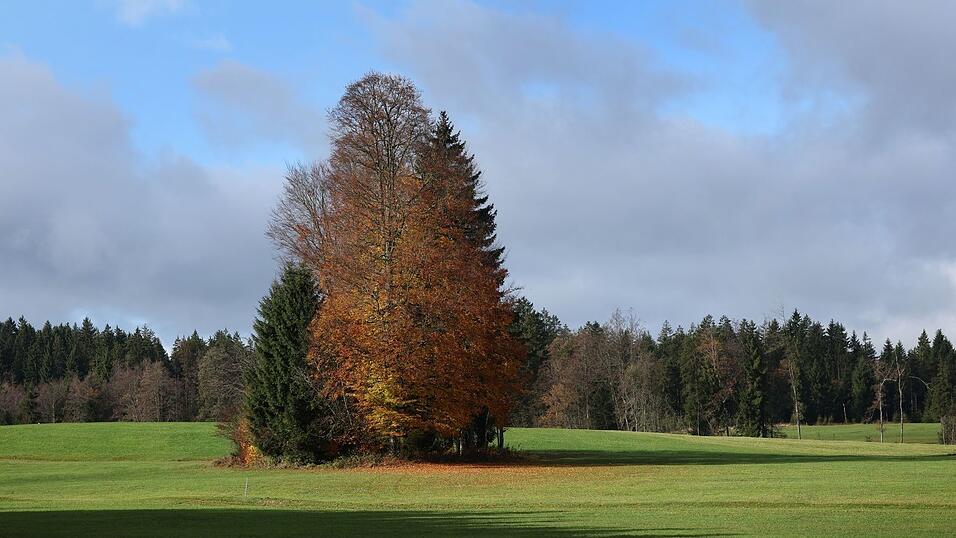 Der Herbst bringt für die Menschen in Bayern die nächsten Tage milde Temperaturen. (Archivbild) Der Herbst bringt für die Menschen in Bayern die nächsten Tage milde Temperaturen. (Archivbild)