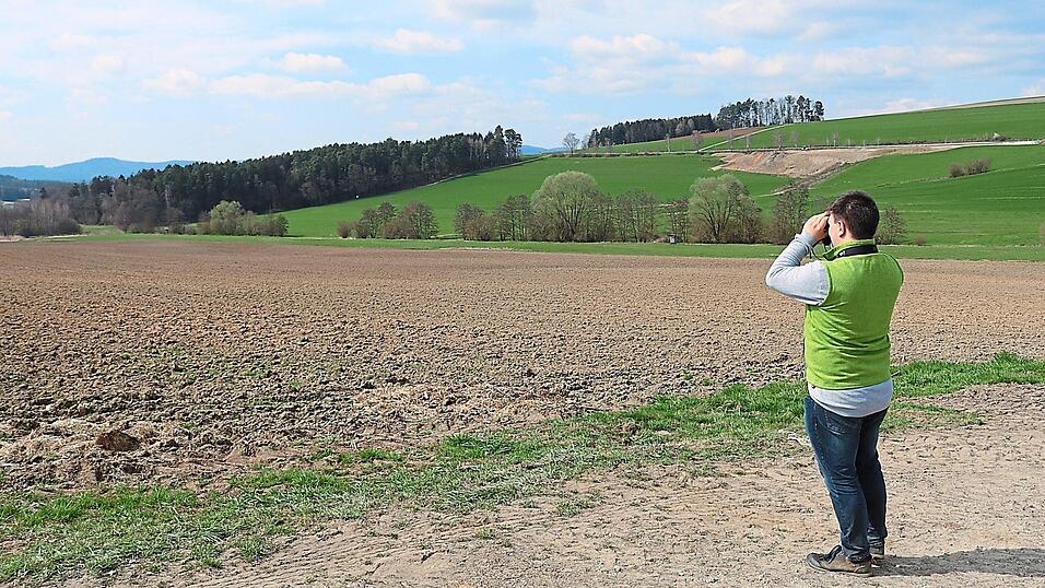 In diesem Feld bei Zenching verbergen sich gleich mehrere Brutpaare.