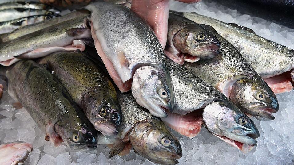 Die EU-Kommission will den Fischfang reformieren (Archivbild) Die EU-Kommission will den Fischfang reformieren (Archivbild)