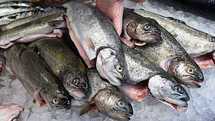 Die EU-Kommission will den Fischfang reformieren (Archivbild)
