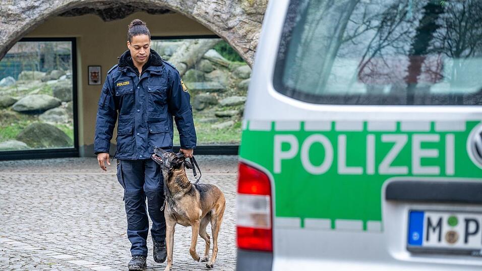 Polizeihundeführer sollen mehr Futtergeld bekommen. (Archivbild)