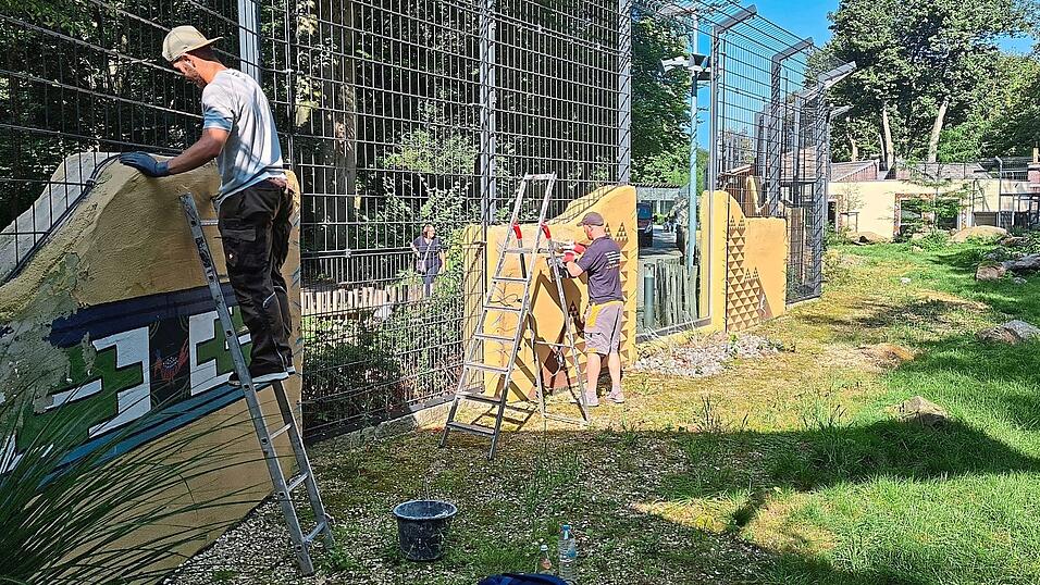 Die Arbeiten im Gehege.