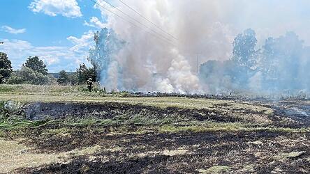 Direkt neben dem Regen steigt eine Rauchs&auml;ule empor.