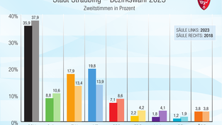 Die Zweitstimmen zur Bezirkstagswahl im Überblick.