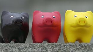 Gegen die VR-Bank Ostbayern-Mitte wetterte der AfD-Stadtratskandidat Marco Schwarzbach. Sie k&uuml;ndigte ihm das Konto, aber nicht, wegen seines politischen Engagements, versichert der Vorstand: &bdquo;Die Gr&uuml;nde kennt Herr Schwarzbach&ldquo;, sagt Vorstand Norbert Herten.