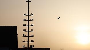 Saharastaub sorgt derzeit für einen milchig-trüben Himmel. Saharastaub sorgt derzeit für einen milchig-trüben Himmel.