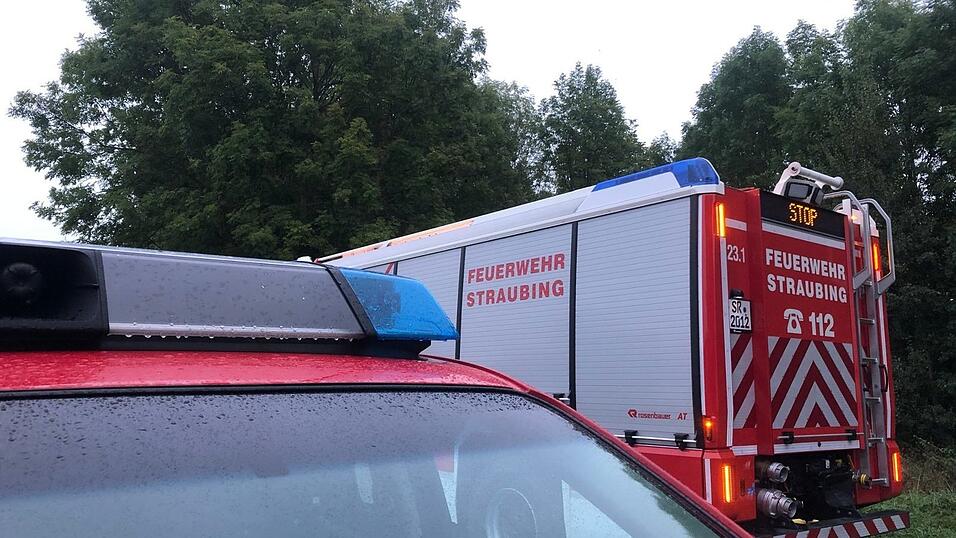 Berufsfeuerwehr und Freiwillige Feuerwehren sind in Harting zu einem Brand auf einem Feld ausger&uuml;ckt. (Symbolbild)