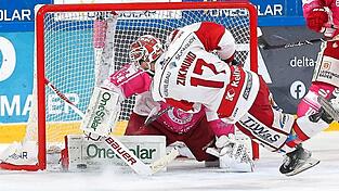Rollentausch: Wurde Ladislav Zikmund (weißes Trikot) vergangene Saison - wie hier - noch dem EVL gefährlich, geht er ab sofort für die Niederbayern auf Torejagd. Rollentausch: Wurde Ladislav Zikmund (weißes Trikot) vergangene Saison - wie hier - noch dem EVL gefährlich, geht er ab sofort für die Niederbayern auf Torejagd.
