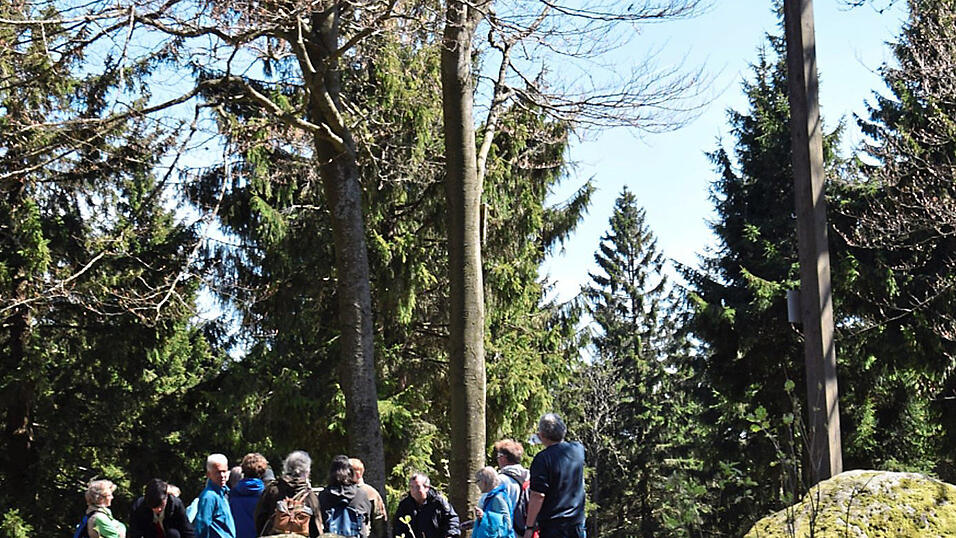Der Predigtstuhl bei Sankt Englmar ist ein beliebtes Tourismusziel. Während der Pandemie blieben im Bayerischen Wald die Touristen oftmals aus (Archivbild). Der Predigtstuhl bei Sankt Englmar ist ein beliebtes Tourismusziel. Während der Pandemie blieben im Bayerischen Wald die Touristen oftmals aus (Archivbild).