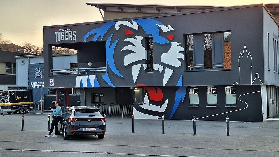 Das Straubinger Eisstadion, in dem sich der Vorfall abspielte.