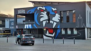 Das Straubinger Eisstadion, in dem sich der Vorfall abspielte.