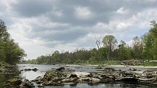 Die Dynamik der Isar schafft eine vielfältige Landschaft mit einzigartigen Strukturen. Die Dynamik der Isar schafft eine vielfältige Landschaft mit einzigartigen Strukturen.