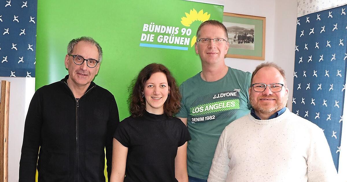 große goldfruchtpalme kaufen Arecapalme (Goldfruchtpalme) (XL) kaufen