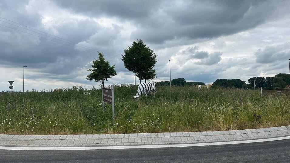 Eine der Kühe am Gottfriedinger Kreisel erinnert nun mehr an ein Zebra. Sie wurde mit schwarzen Streifen beschmiert.