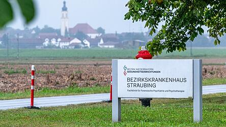 Der leitende Psychiater, der nun am Montag aussagen sollte, h&auml;tte gewiss genauer erkl&auml;ren k&ouml;nnen, warum aus fachlicher Sicht bei den Ausbrechern keine Hoffnung mehr auf einen erfolgreichen klinischen Entzug bestand. Entsprechend aggressiv traten ihm gegen&uuml;ber bereits vorab die Verteidiger auf.