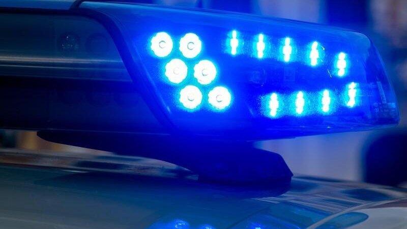 Im Landkreis Landshut wurde am Freitag eine Frau von Hunden angegriffen (Symbolbild). Im Landkreis Landshut wurde am Freitag eine Frau von Hunden angegriffen (Symbolbild).