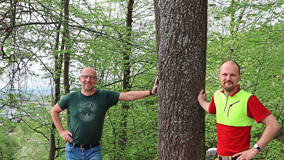 Bei einer alten Eiche in der W&ouml;rther Herrngasse: Frank Danicek (links) und Lukas N&uuml;rnberger sind die Gabreta Tree Experts.