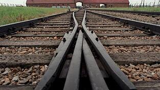 Neun hölzerne Baracken in der NS-Gedenkstätte Auschwitz-Birkenau sind mit Parolen auf Englisch und Deutsch besprüht worden. (Archivbild). Neun hölzerne Baracken in der NS-Gedenkstätte Auschwitz-Birkenau sind mit Parolen auf Englisch und Deutsch besprüht worden. (Archivbild).