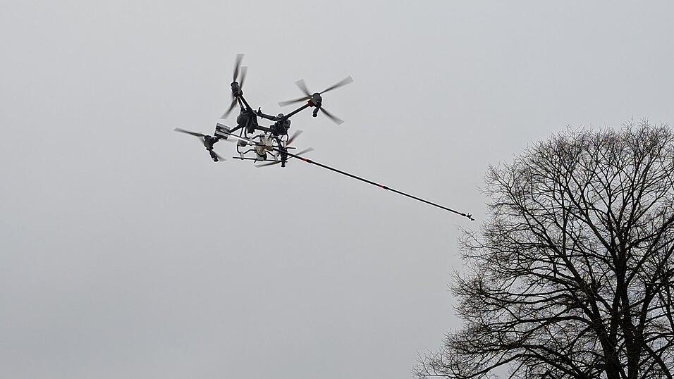 Der Kampf gegen den Kormoran kostet hunderttausende Euro. (Archivbild) Der Kampf gegen den Kormoran kostet hunderttausende Euro. (Archivbild)