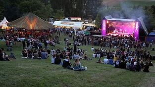 Das 31. Labertalfestival fand 2019 statt. Dann kam Corona und jetzt die finanzielle Unsicherheit.&nbsp; &nbsp;