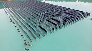 Normalerweise sind Solarpanele bei schwimmenden Anlagen flach auf dem Wasser - hier stehen sie aufrecht.