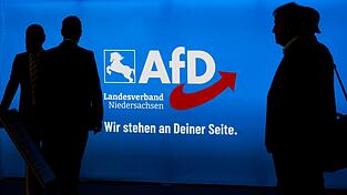 Die AfD Niedersachsen wurde seit 2022 als Verdachtsobjekt beobachtet. (Archivbild) Die AfD Niedersachsen wurde seit 2022 als Verdachtsobjekt beobachtet. (Archivbild)