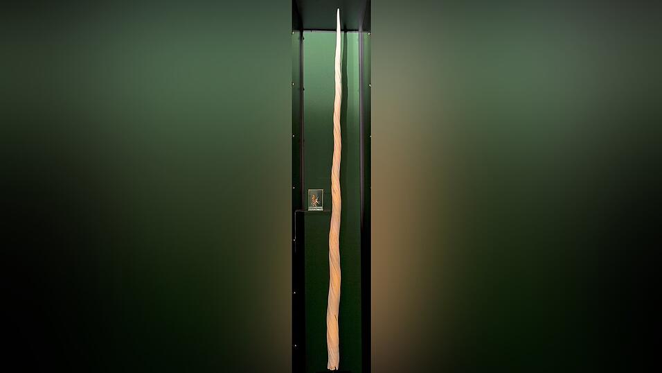 Das 'Einhorn' in der Kunst- und Wunderkammer Das 'Einhorn' in der Kunst- und Wunderkammer