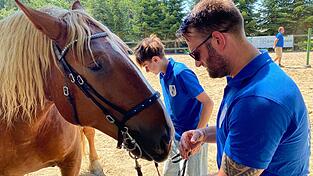 Pferd und Ritter sollen ein eingespieltes Team sein: Dafür arbeiten die Reiter jahrelang.