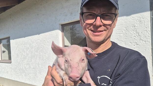 Manfred Aue hat am Spitzöderhof zwei starke Standbeine aufgebaut: neben der Schweinezucht die Produktion von lebenden Larven. Manfred Aue hat am Spitzöderhof zwei starke Standbeine aufgebaut: neben der Schweinezucht die Produktion von lebenden Larven.