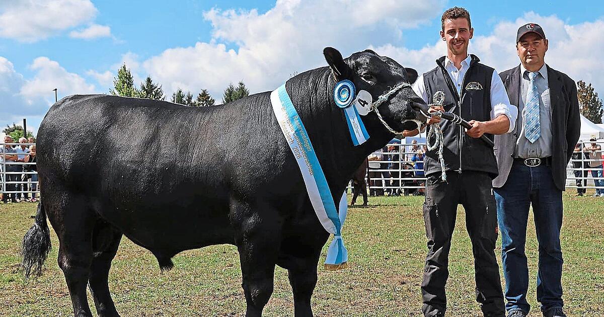 Enzo ist Mister Bayern und wohnt in Waldmünchen