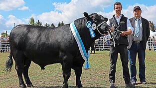 So sehen Sieger aus: Matthias Schneider stellt den Zuchtstier Enzo im Ring vor. Mit im Bild ist Preisrichter Matthias Gerber. So sehen Sieger aus: Matthias Schneider stellt den Zuchtstier Enzo im Ring vor. Mit im Bild ist Preisrichter Matthias Gerber.