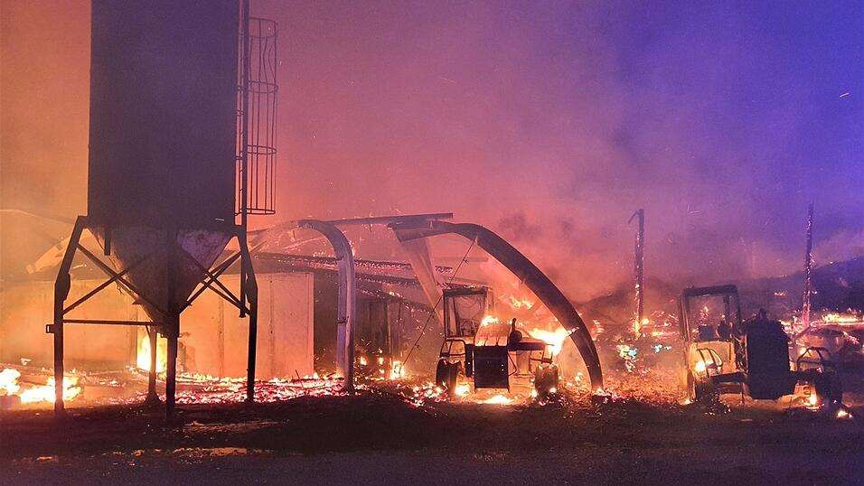 In dem Flammeninferno bei Treffelstein am 16. August kamen 40 Rinder ums Leben.