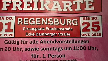 Das Foto des Tickets, auf dem sich der kleine Hinweis &bdquo;Erw.&ldquo; f&uuml;r &bdquo;Erwachsener&ldquo; vor &bdquo;1. Person&ldquo; findet, hat Harald H&uuml;bner mit dem Handy vergr&ouml;&szlig;ert. In echt, sagt er, sei der Hinweis kaum zu erkennen.