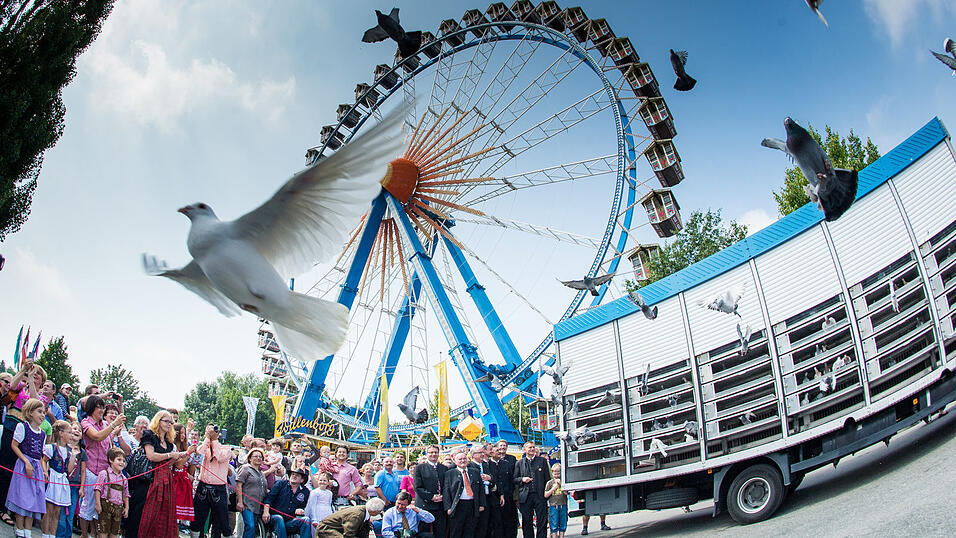 Alle Infos und Bilder gibt es hier.Foto: Mathias AdamImpressionen von der Volksfest-Eröffnung im Nothaft-Festzelt. Alle Infos und Bilder gibt es hier.Foto: Mathias AdamImpressionen von der Volksfest-Eröffnung im Nothaft-Festzelt.