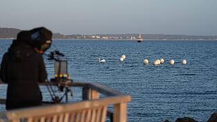 Das Tier ist an der Ostseeküste vor Timmendorfer Strand nicht mehr zu sehen. Das Tier ist an der Ostseeküste vor Timmendorfer Strand nicht mehr zu sehen.