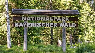 Aufgrund von Sturmsch&auml;den sind Teile des Bayerischen Nationalparks gesperrt. Zudem ruft die Nationalparkverwaltung zur erh&ouml;hten Vorsicht auf.