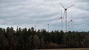 Windräder ragen aus dem Wald - manche sehen darin eine Verschandelung der Natur. (Archivfoto)