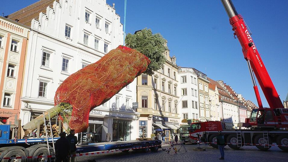 Straubing hat wieder den ersten Christbaum Bayerns! Straubing hat wieder den ersten Christbaum Bayerns!