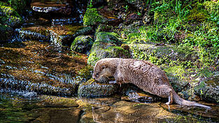 Platz 8: Sebastian Karl Platz 8: Sebastian Karl